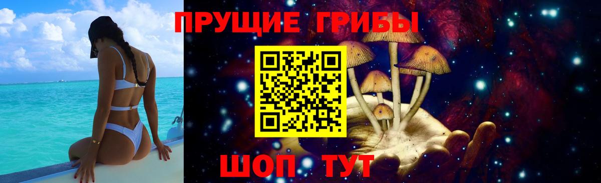 Боровичи  Псилоцибиновые грибы Magic Shrooms  Вход с VPN  Псилоцибиновые грибы ЛСД 